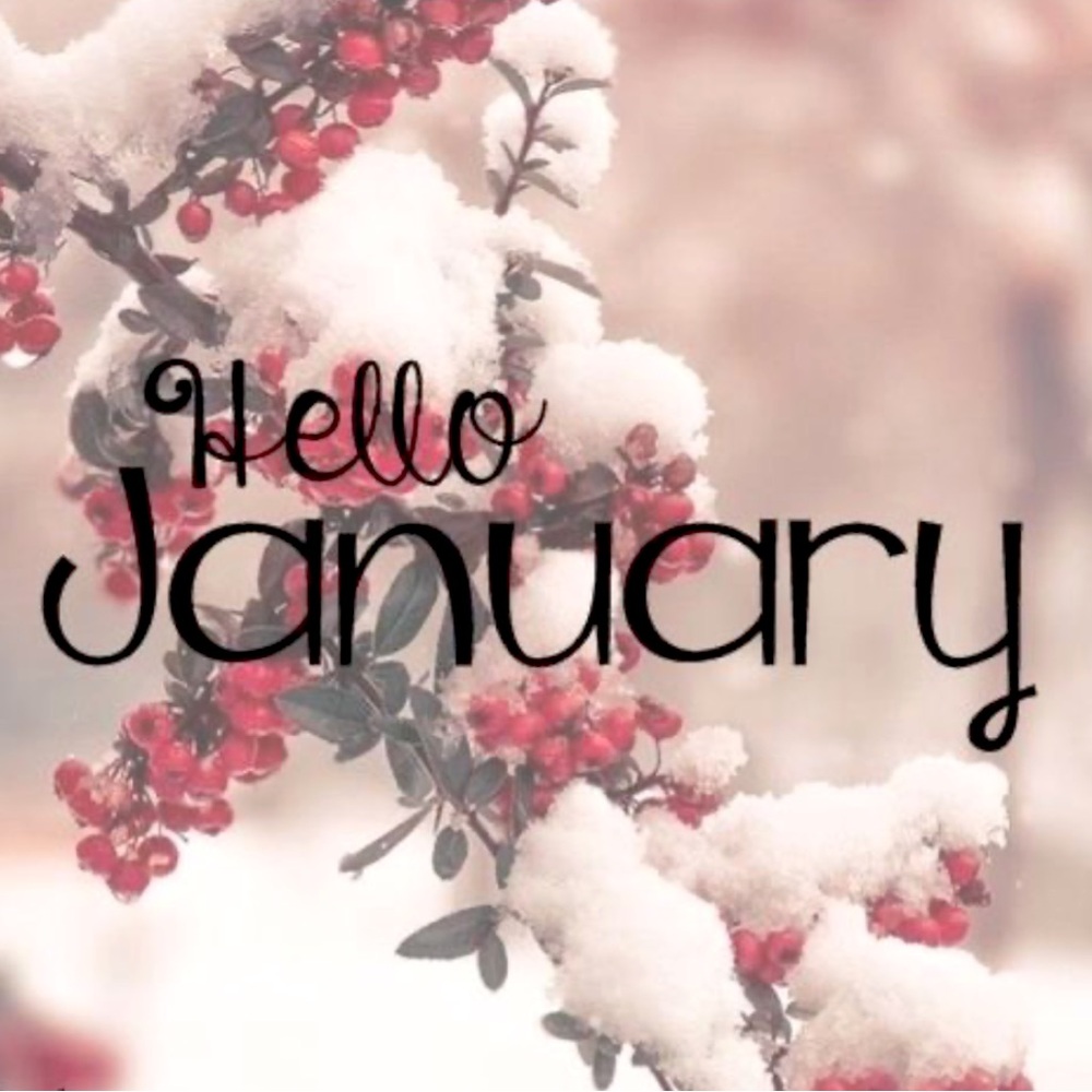 ✨Clear Out Sale ✨ - Picture 15 of 16